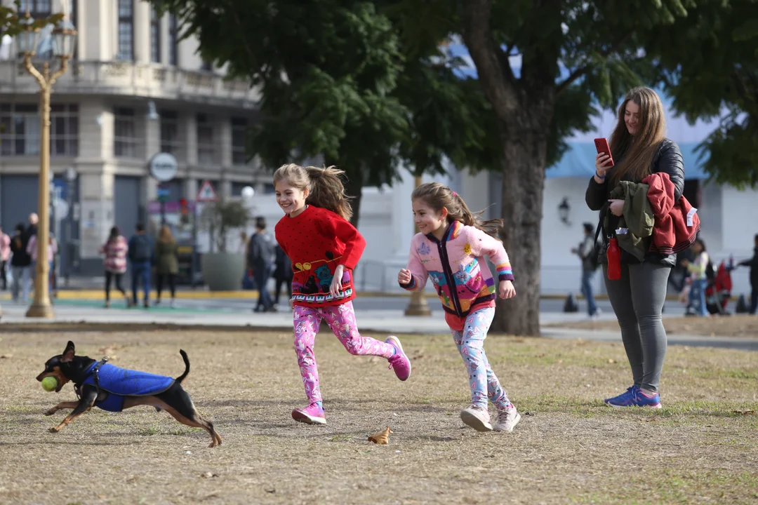 Cambió la familia moderna: viven solos, en pareja o con los padres