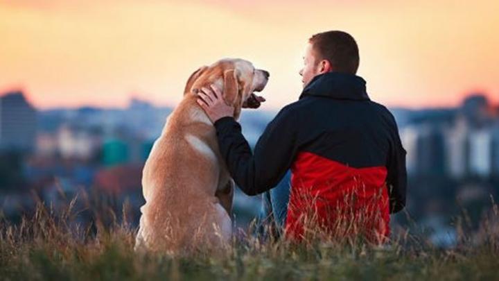 Las empresas ahora te dan días libres si se muere tu mascota