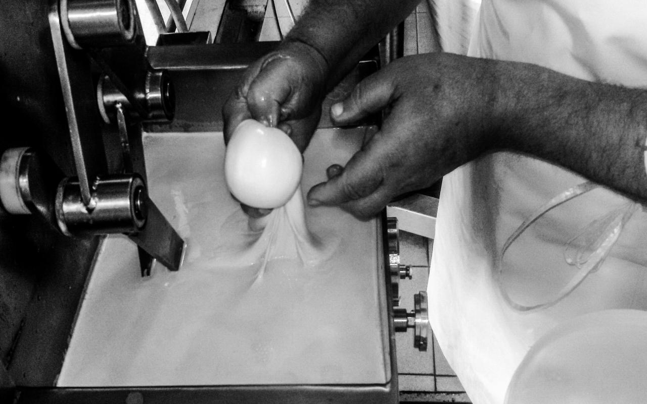 Elaboran en Santa Fe un nuevo queso probiótico