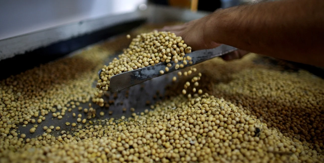 Milei decidió aumentar las retenciones al campo