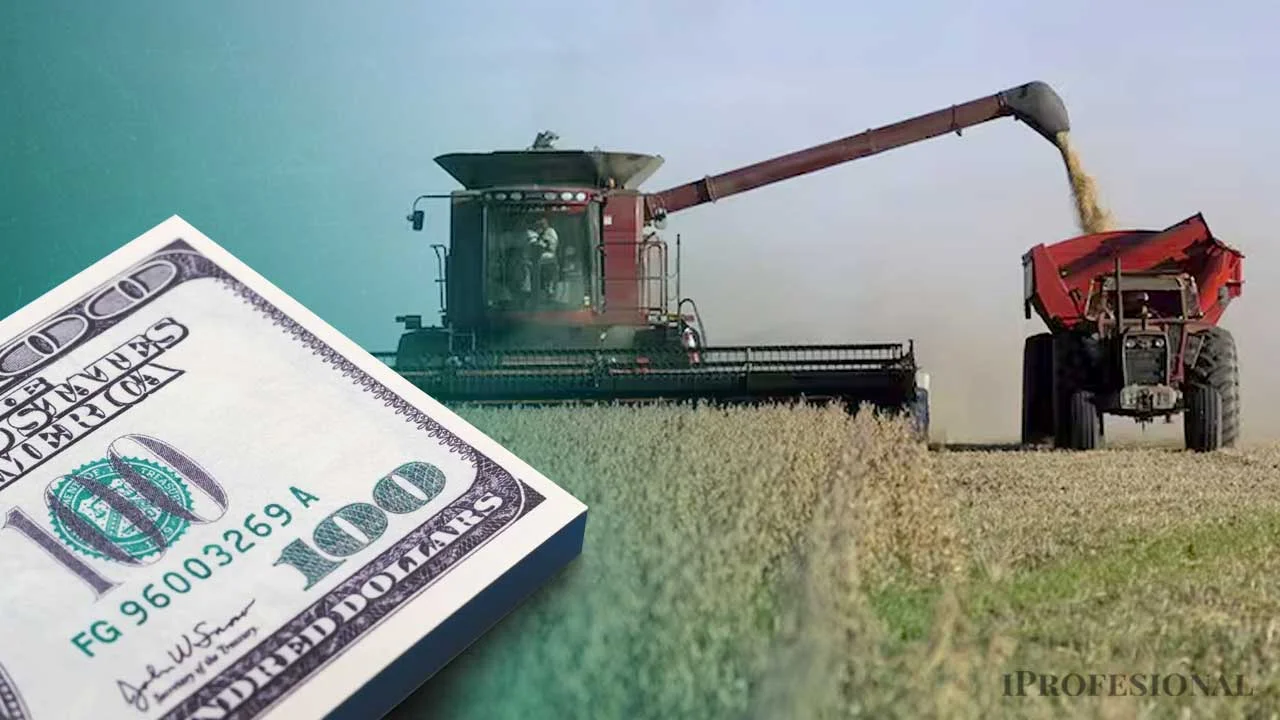 ¿El campo enfrenta a Milei por la suba de las retenciones?