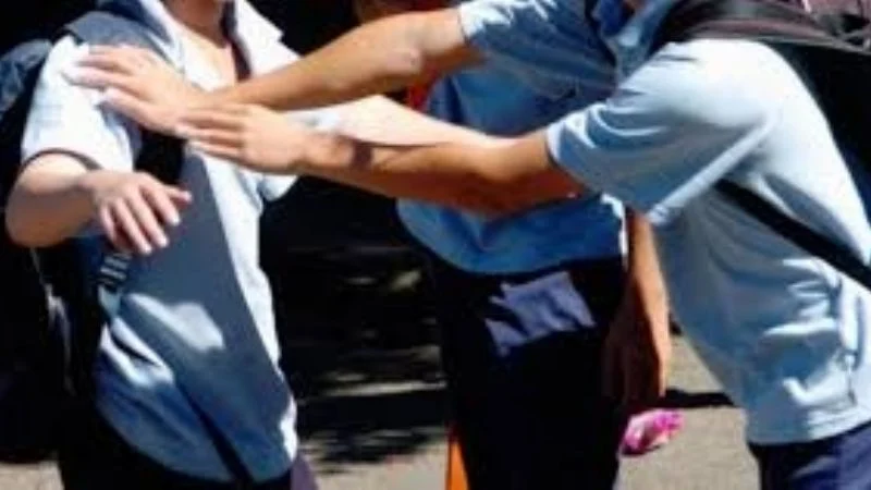 El 63% de los alumnos de sexto grado sufre agresión escolar
