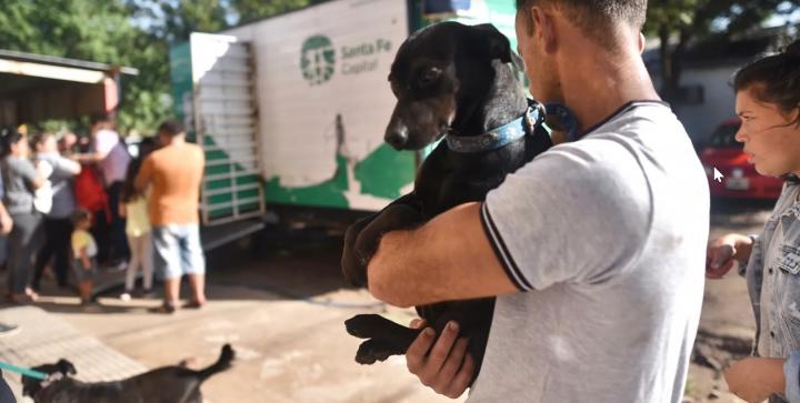 Salud de las mascotas: más de 10 mil atenciones en el último mes