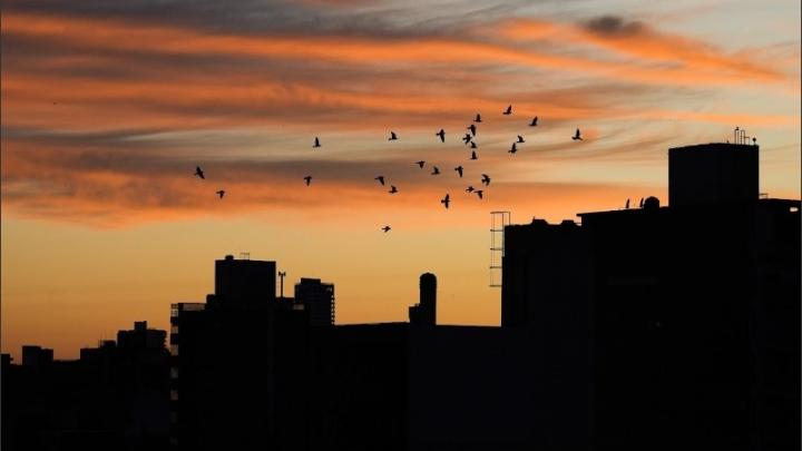 Quieren cambiar el huso horario en Argentina