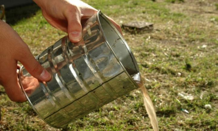 Dengue: recomendaciones para evitar la propagación 