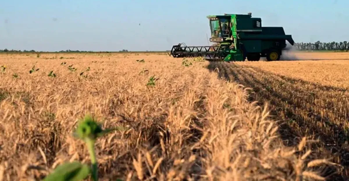Pullaro y las retenciones 0. “Es un manotazo desesperado”