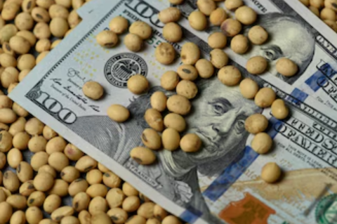 La Sociedad Rural repudió la vuelta de las retenciones