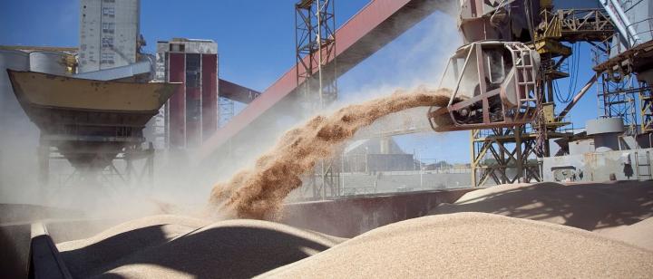 Las retenciones cero fueron solo para 12 grandes exportadores