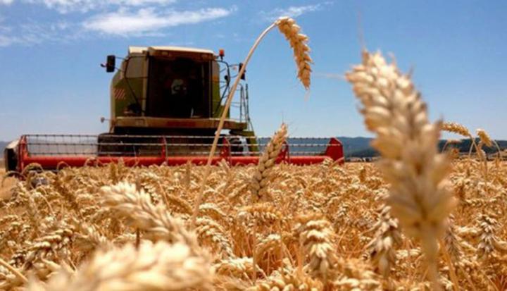 Retenciones 0: “Fue una burla al productor agropecario”