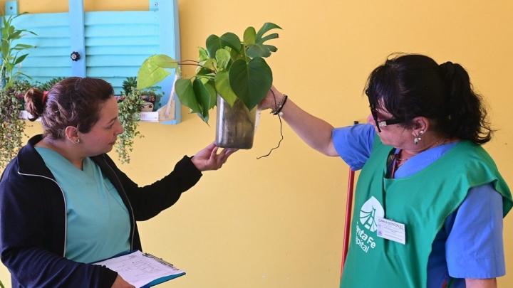 Dengue en Santa Fe: monitorean barrios de la capital