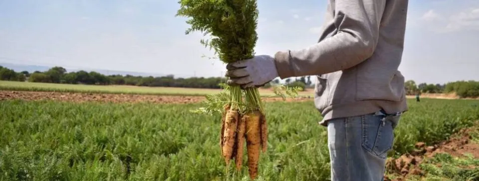 Se viene la 28 Fiesta Provincial de la Zanahoria de Cayastá