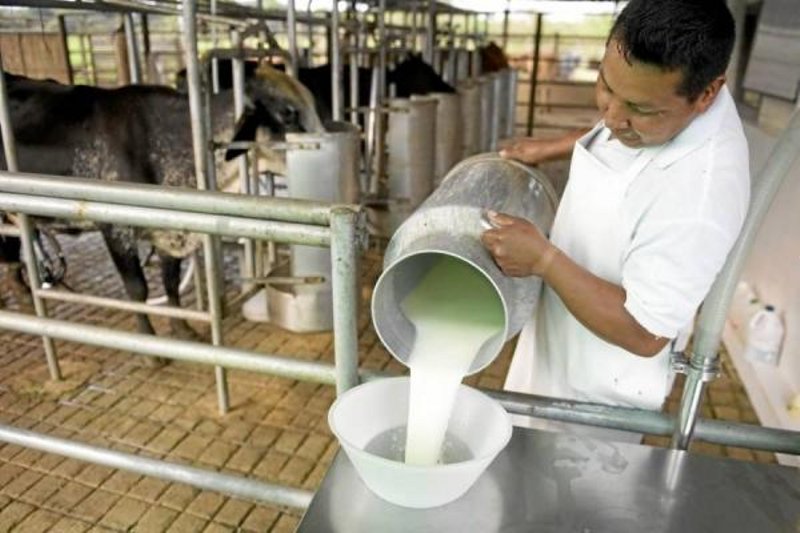 El noreste de Santa Fe, con potencialidad para producir leche