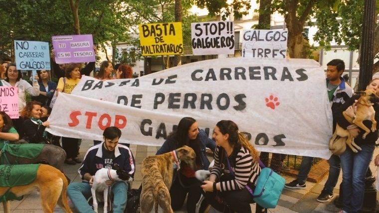 Rosario se movilizó contra las carreras de galgos