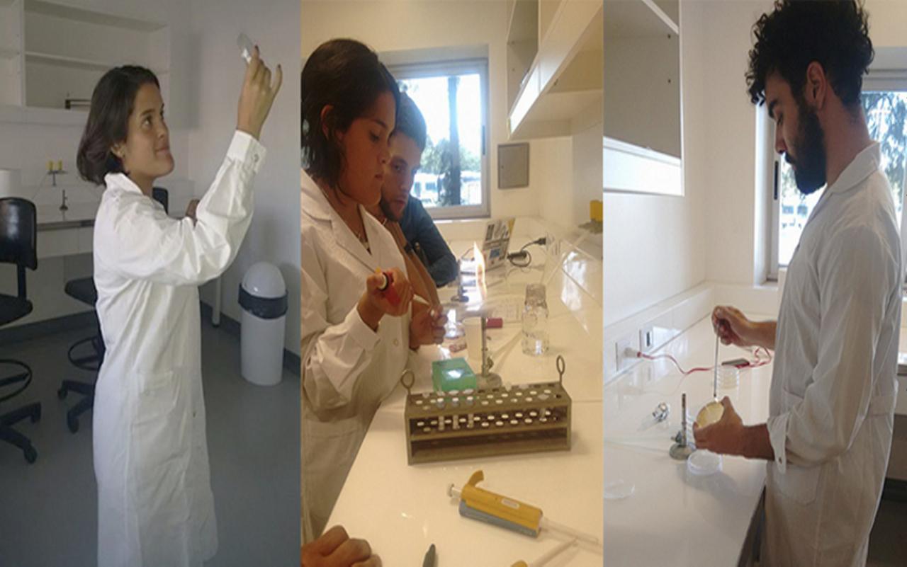 Estudiantes argentinos diseñan una biopintura contra la contaminación