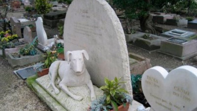Rosario tendrá un cementerio y crematorio de animales