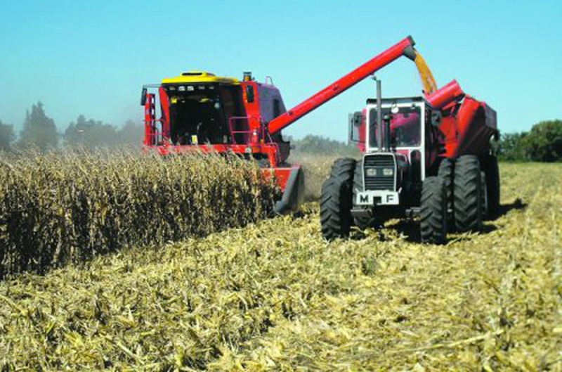 Más créditos para pymes y productores agropecuarios