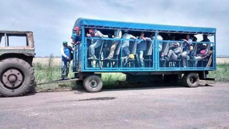 Rescatan a santiagueños esclavizados en un campo de Santa Fe