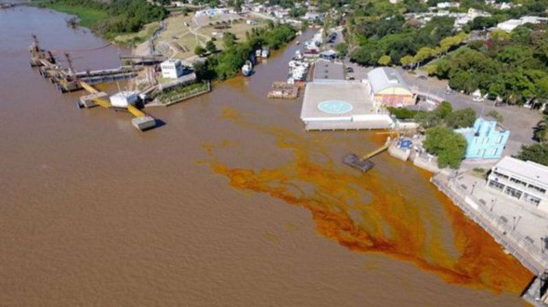 El río Paraná se tiñó de aceite