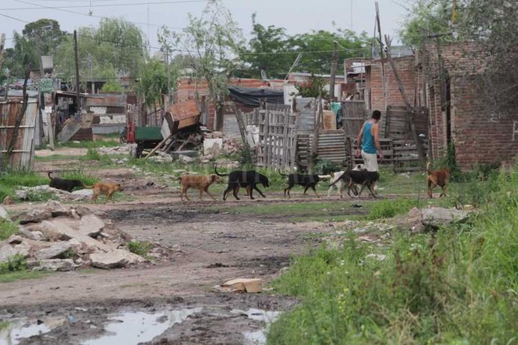 Santa Fe Capital: “Hay más de 7 mil chicos que deambulan por las villas” 