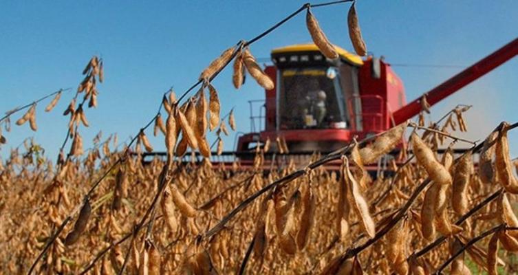 “No estamos ni en las oraciones del gobierno” 