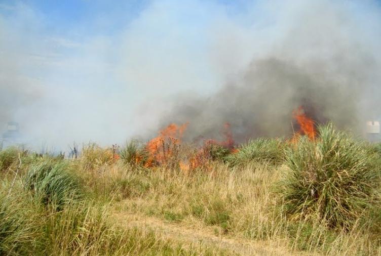 Incendio afecta a reserva natural de la Mar Chiquita