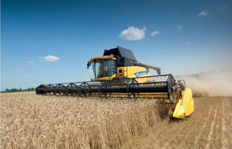 Ruralista tenía a una familia viviendo en un palomar