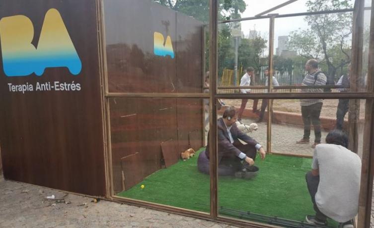 Instalan jaulas antiestrés con cachorros