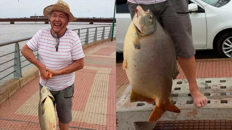 Pescó un pacú de 29 kilos