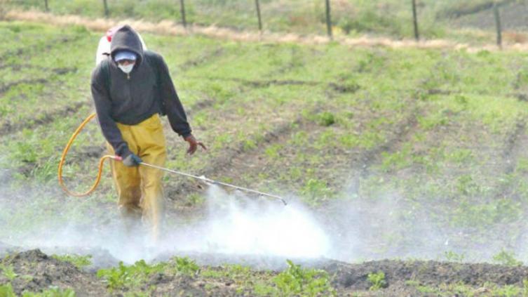 Urdinarrain, líder mundial de contaminación por Glifosato