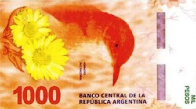 Ya circula el billete de $ 1.000, con un hornero