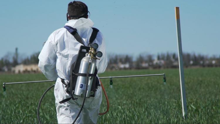 Paraná prohibió el glifosato