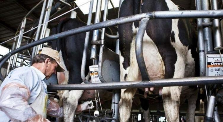 Cerraron 500 tambos santafesinos en dos años
