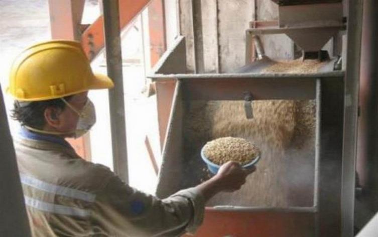 Boletas de luz por $300.000 para arroceros de Entre Ríos