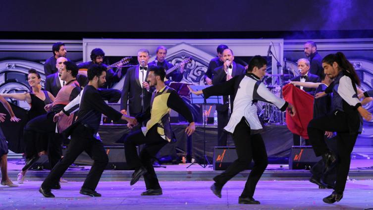 Santa Fe se lució en el Festival Folclórico de Cosquín