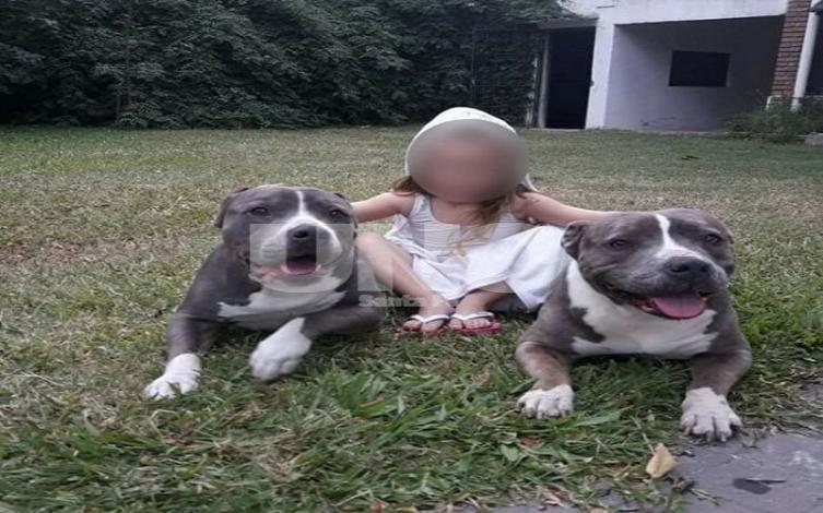 No quieren a los pitbull en un country de Santa Fe