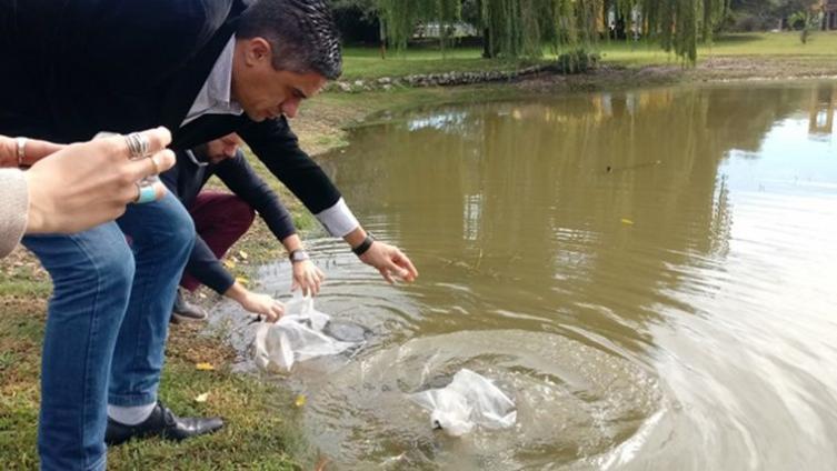 Liberan peces para combatir el dengue