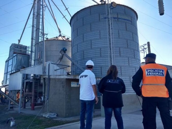 Decomisan 360 toneladas de soja no declaradas