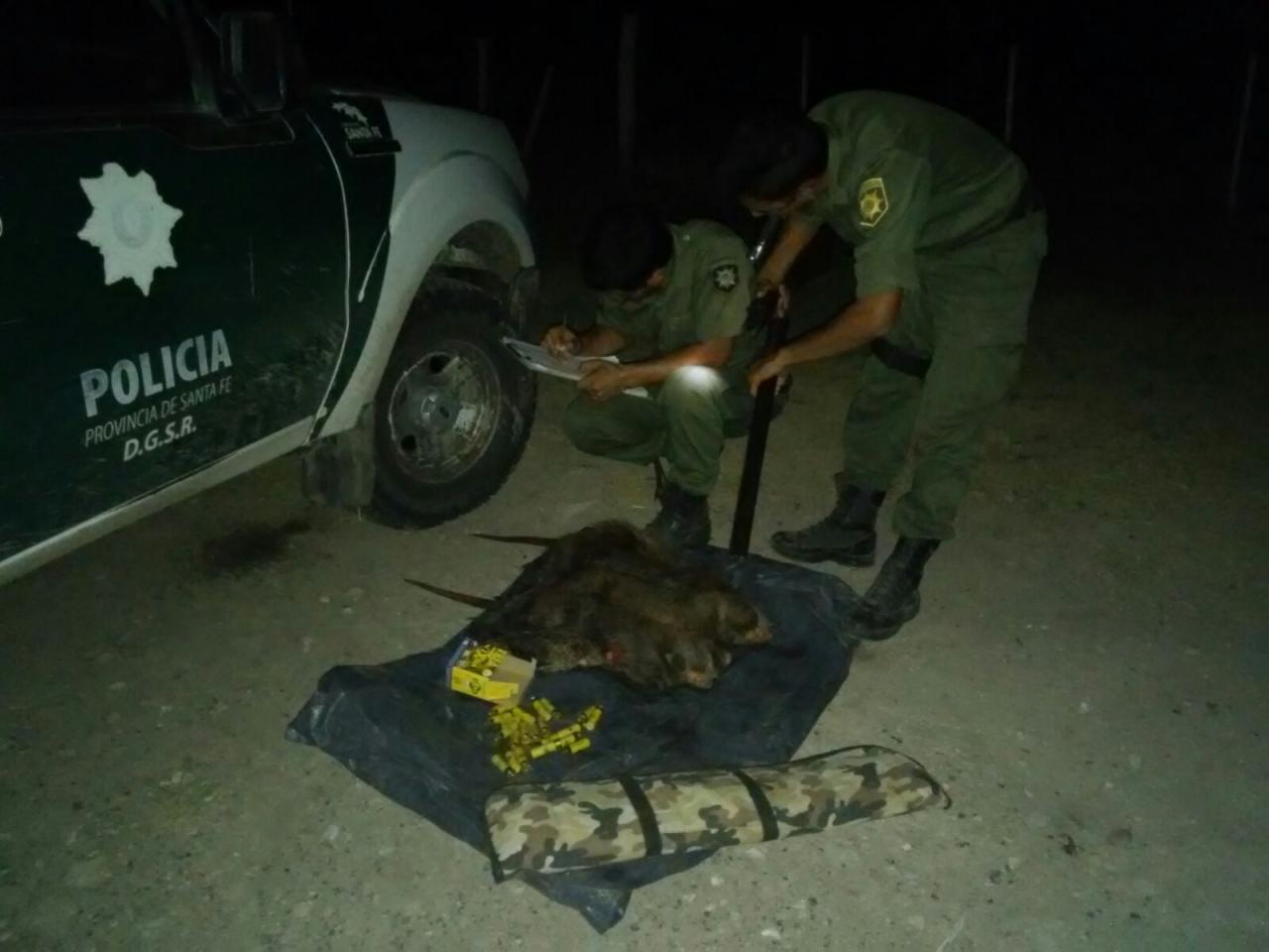 Pumas en acción: decomisaron tres toneladas de sábalos