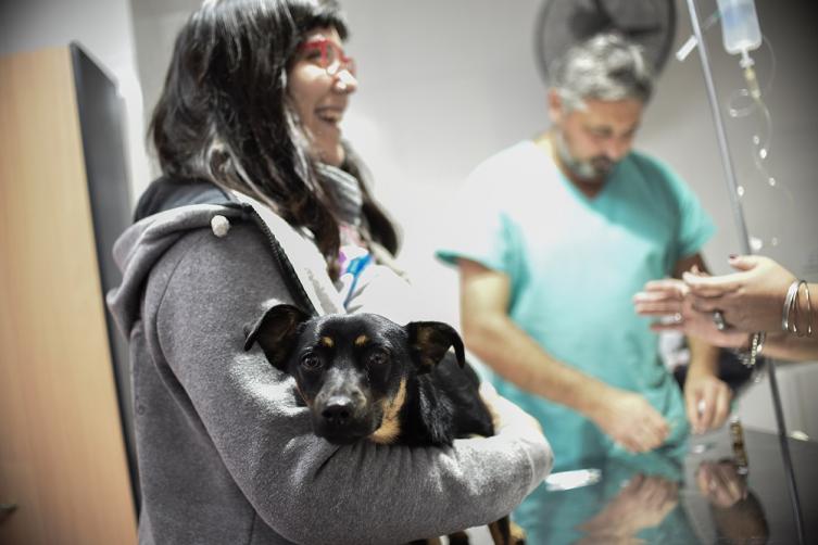 La Casa de las Mascotas brindó asistencia a más de 3200 animales