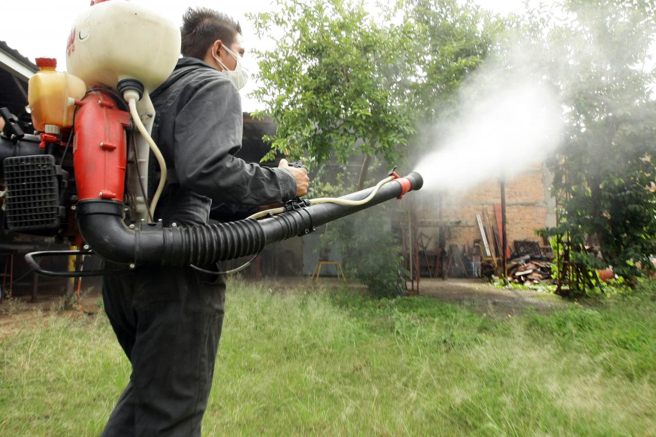 El municipio no fumiga en domicilios particulares