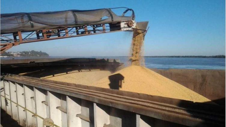 Argentina importó soja por primera vez en 20 años