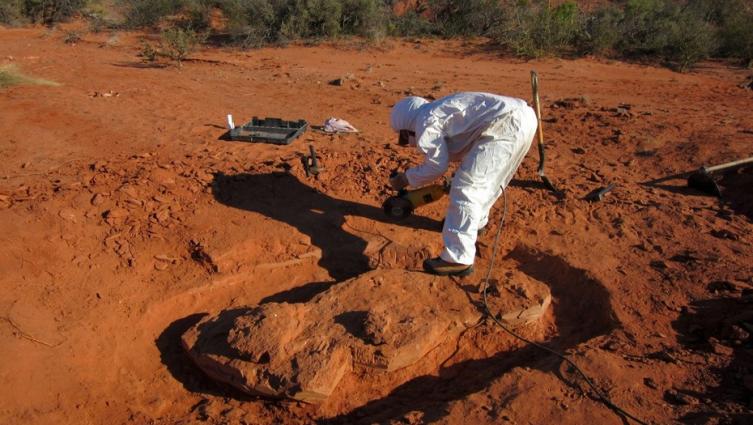 Hallan al dinosaurio gigante más antiguo que habitó la Tierra