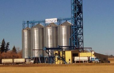 Despidos, suspensiones y lockout patronal en Bunge