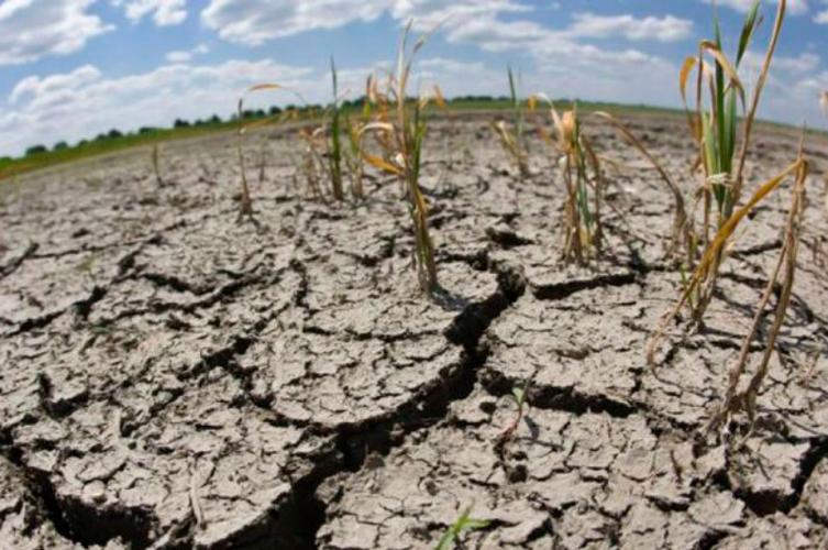 Dicen que la economía se derrumba “por la sequía y las lluvias” 