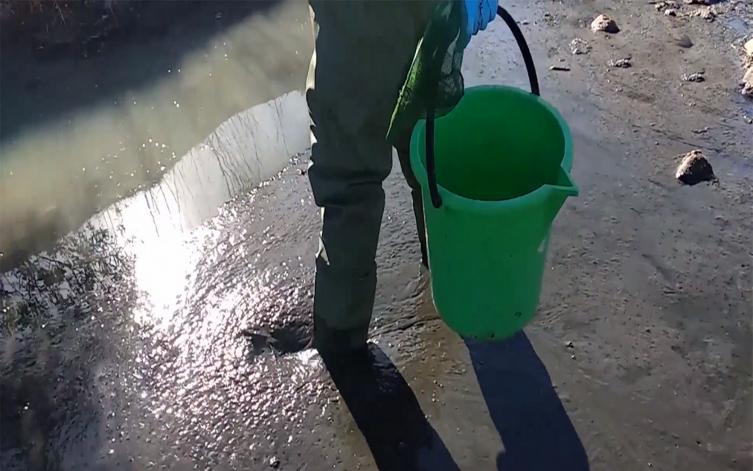 Córdoba: ya no hay peces sobre el río Suquía